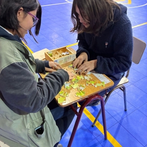 Día de las Matemáticas 2025